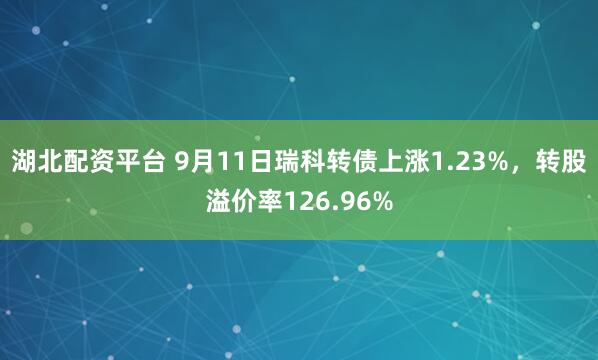 湖北配资平台 9月11日瑞科转债上涨1.23%，转股溢价率126.96%