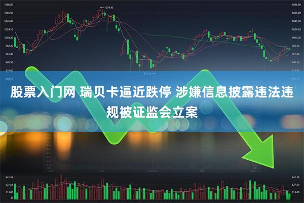 股票入门网 瑞贝卡逼近跌停 涉嫌信息披露违法违规被证监会立案